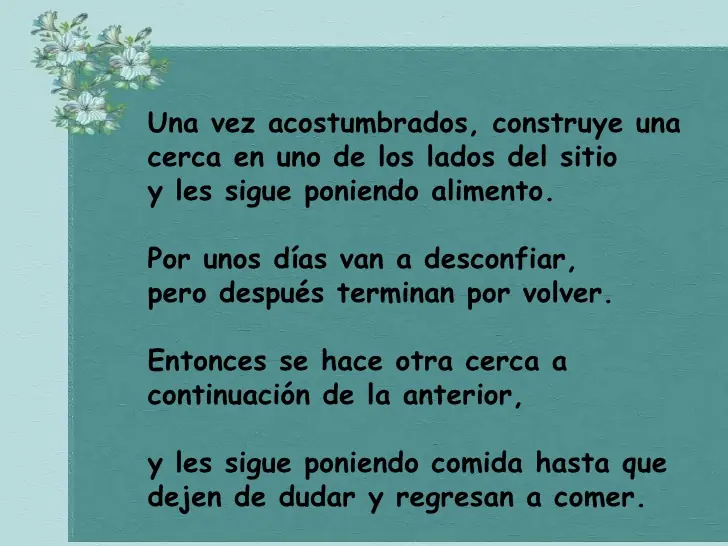 porton