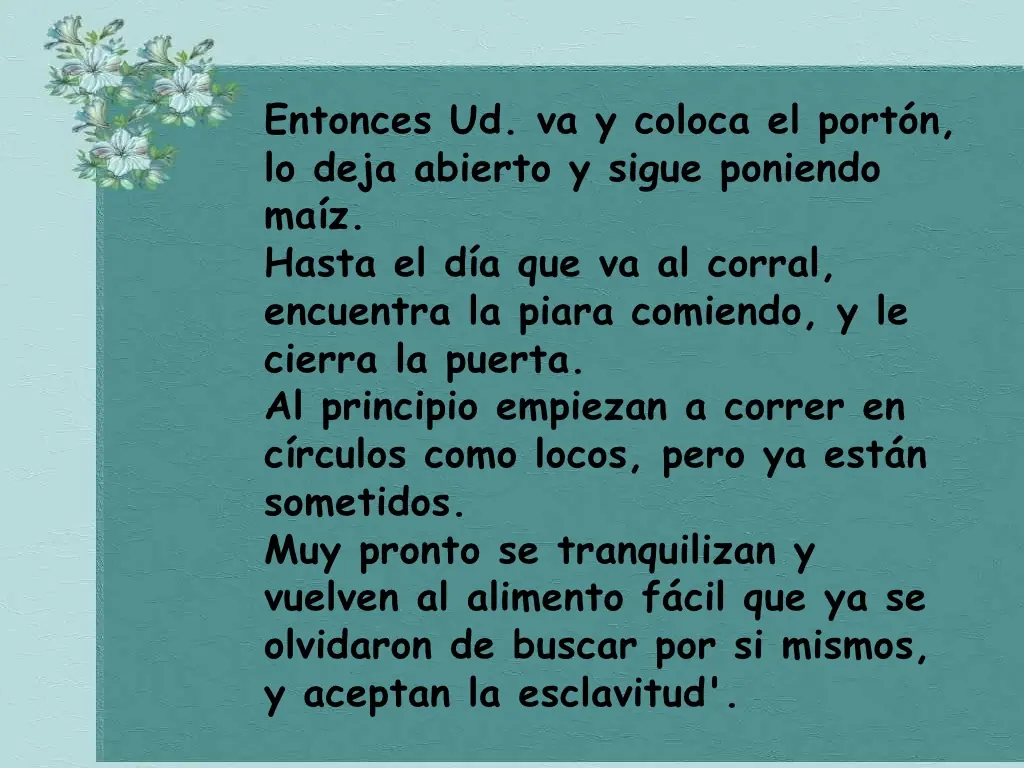 cuidado