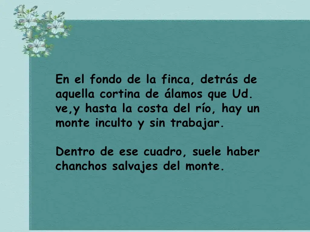 chanchos