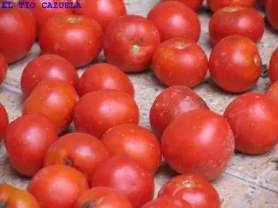 Sal