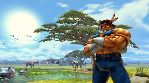 street fighter