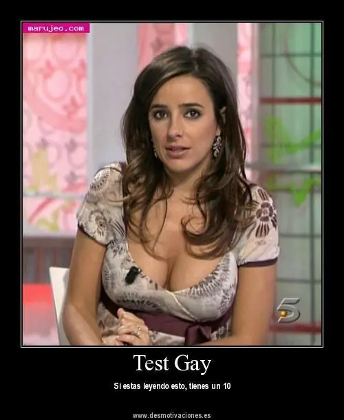 Gay Test Complilation (para ellas tambien hay)