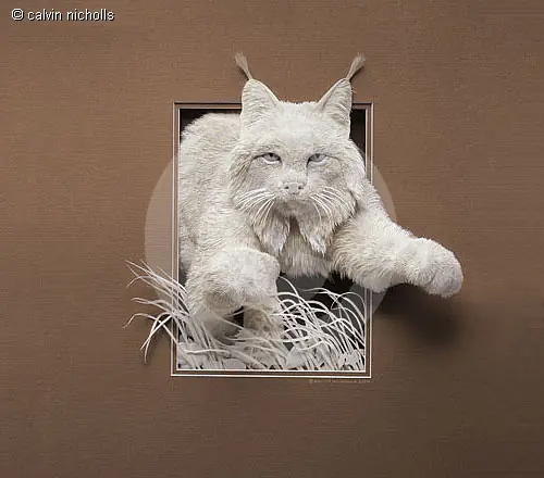 papel
