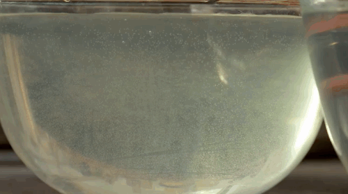 en caso de un deteriodo mundial