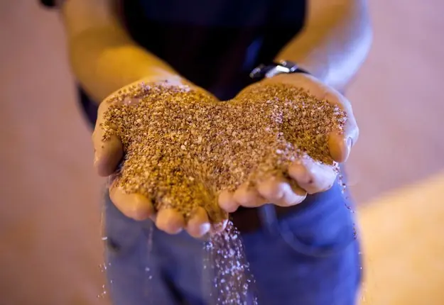 Si esta cerca una apocalipsis mundial estas preparado?