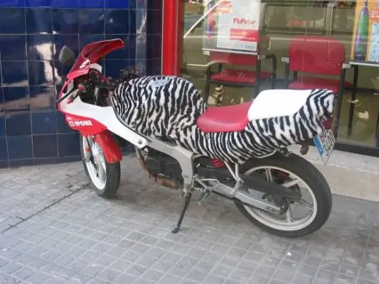 Para vos papa, tuning del pulenta-3ra parte
