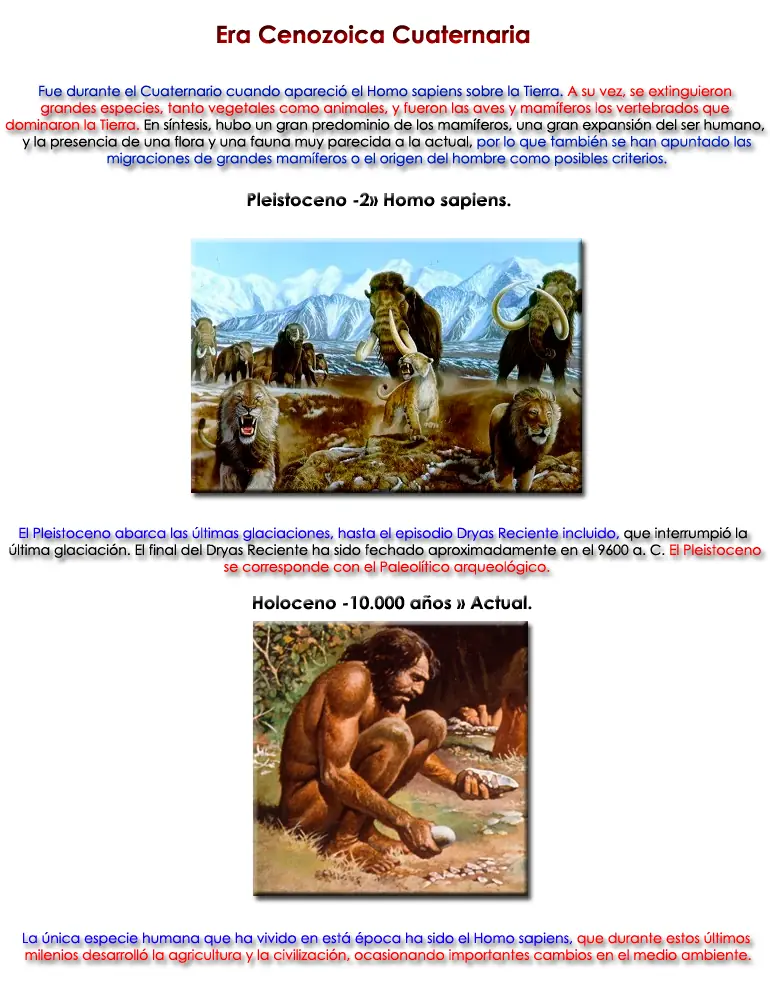 ¿Es necesario un Dios para la creación del universo?