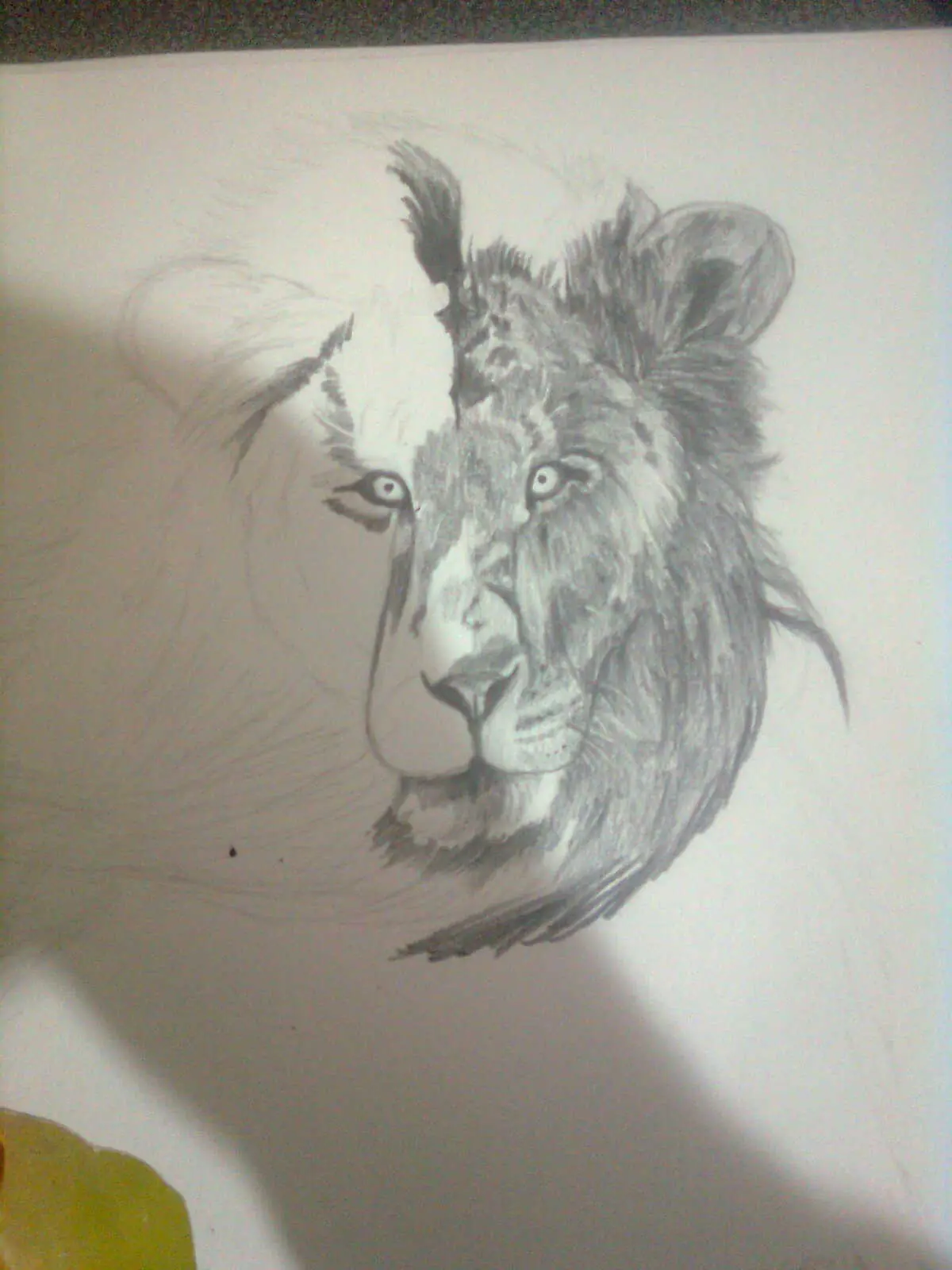 Dibujo