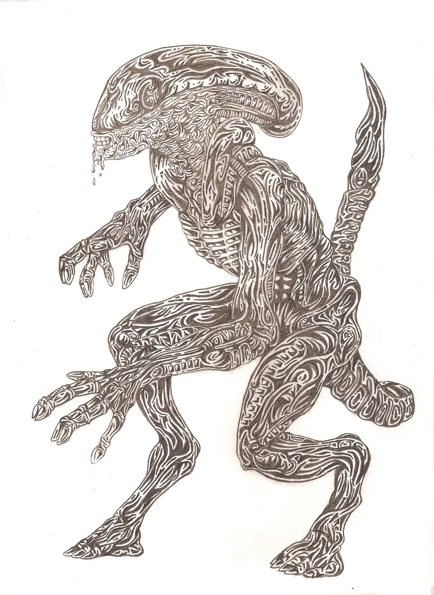 Dibujo
