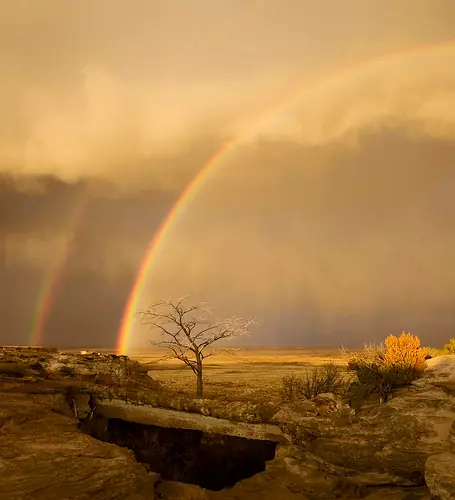 Algunos Silencios...