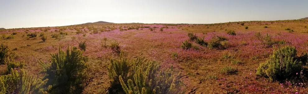fenomenos naturales