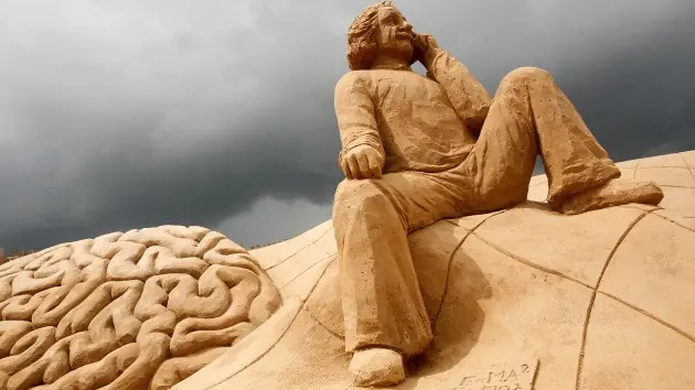 El Cerebro De Einstein No Tenia Nada De Especial