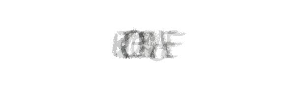 gatos