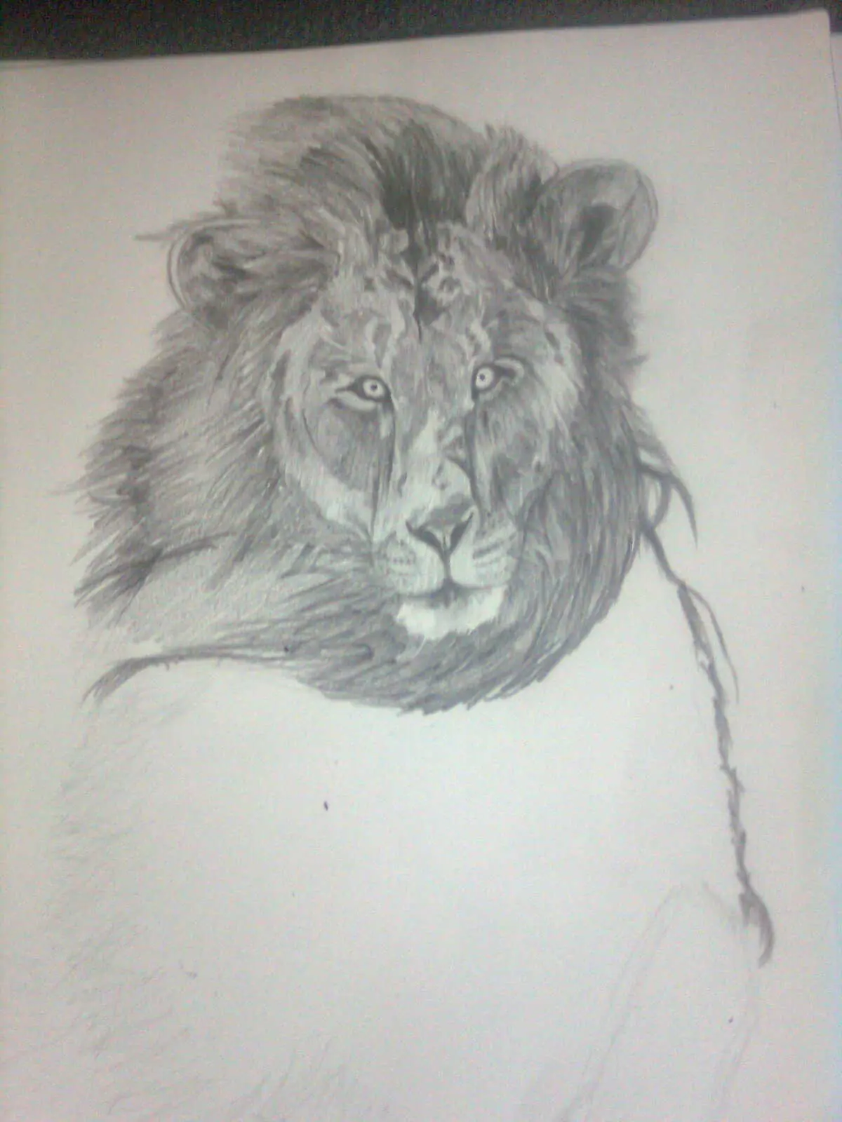 leon