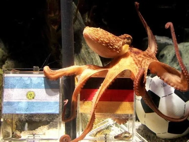 biologia