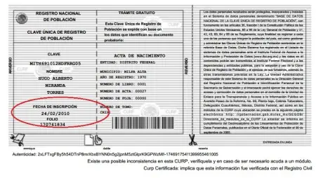 narcopolitica