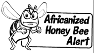 africa
