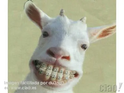 Para divertirse un rato....