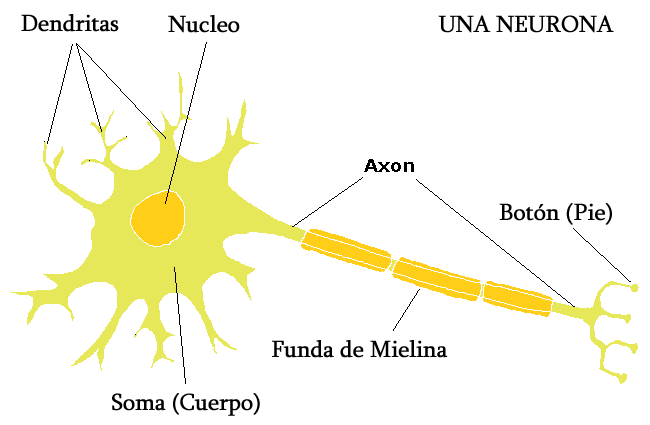 biology