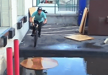Gifs
