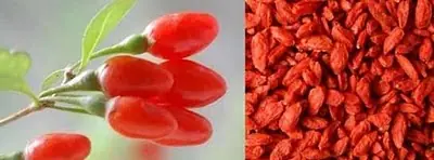 Las bayas goji, el controvertido secreto de la salud,