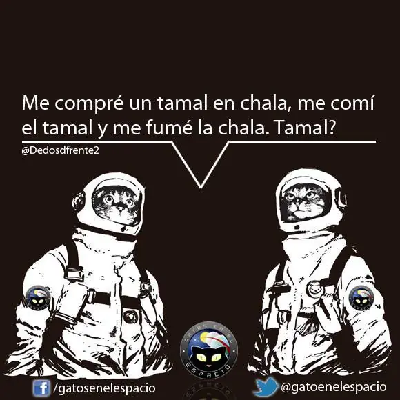 Gatos en el espacio (100 imágenes) Parte 8