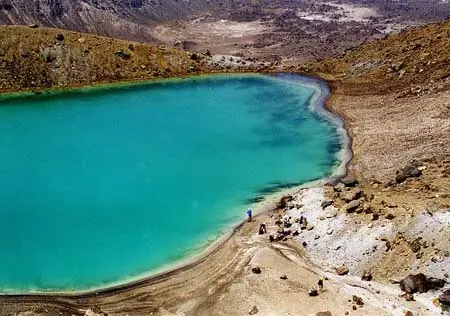 ¿Sabias esto de Nueva Zelanda?