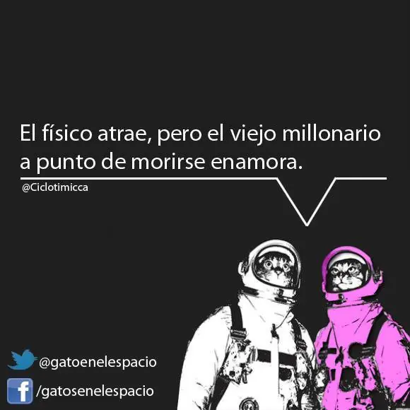 Gatos en el espacio (100 imágenes) Parte 8