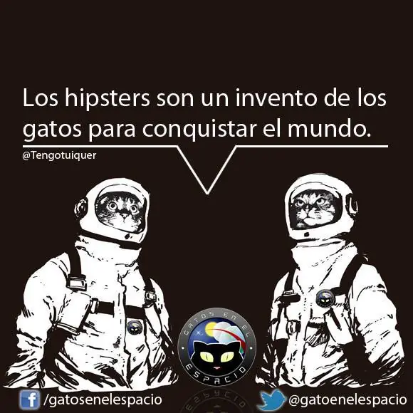 Gatos en el espacio (100 imágenes) Parte 8