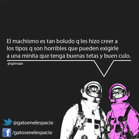 Gatos en el espacio (100 imágenes) Parte 8