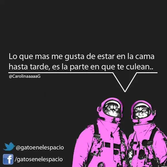 Gatos en el espacio (100 imágenes) Parte 8