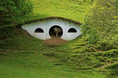 ¿Sabias esto de Nueva Zelanda?
