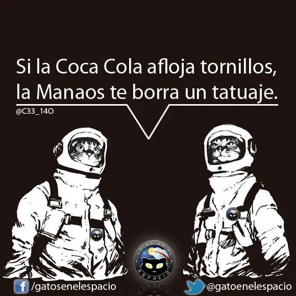 Gatos en el espacio (100 imágenes) Parte 8