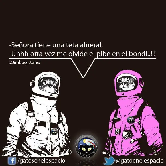 Gatos en el espacio (100 imágenes) Parte 8