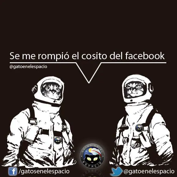 Gatos en el espacio (100 imágenes) Parte 8