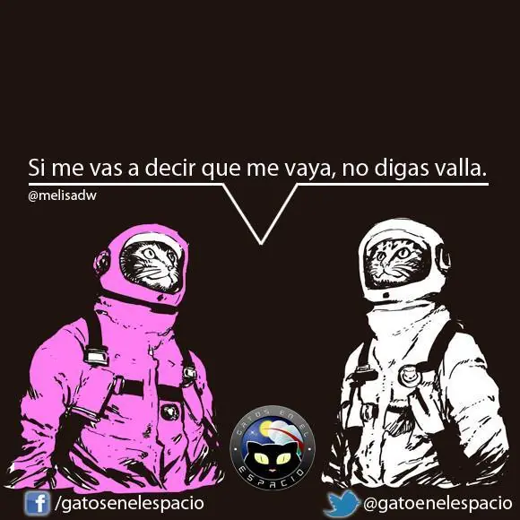 Gatos en el espacio (100 imágenes) Parte 8