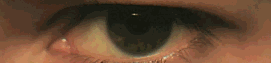inteligencia colectiva