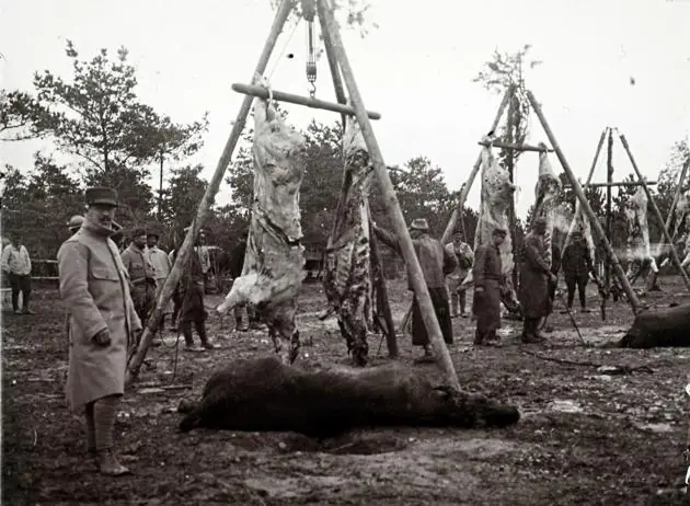 Primera Guerra Mundial