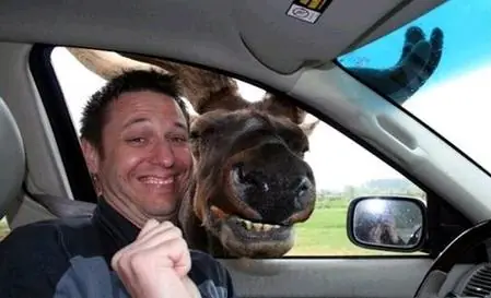 foto