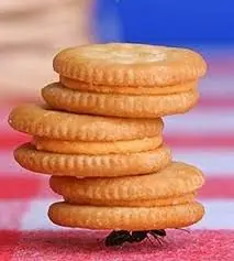 Fábula con versión Argenta...muy bueno