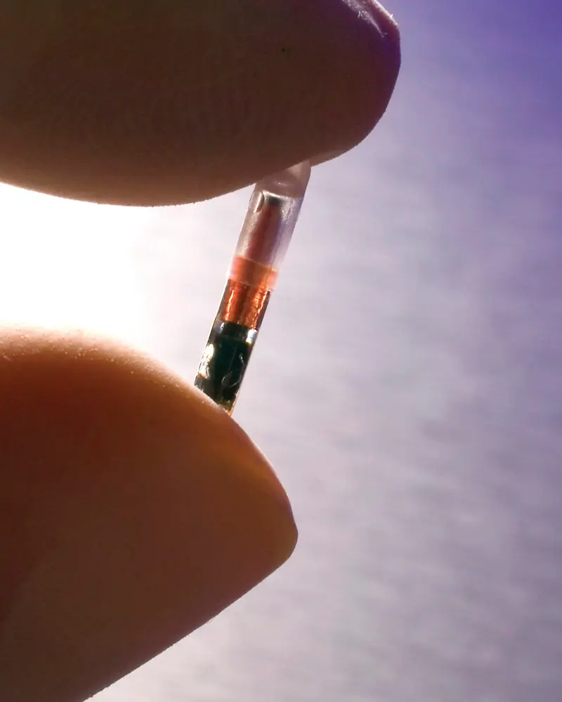 Microchips en humanos obligatorio.
