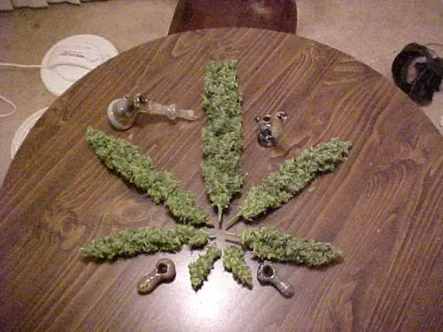 ¿Cómo afecta la marihuana al cerebro y al resto del cuerpo