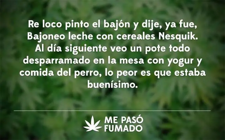 gracioso