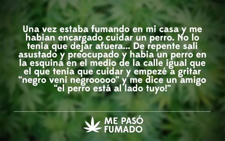 gracioso