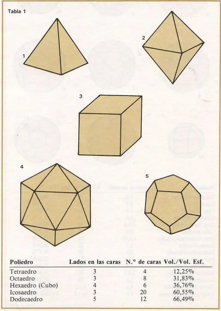pelota
