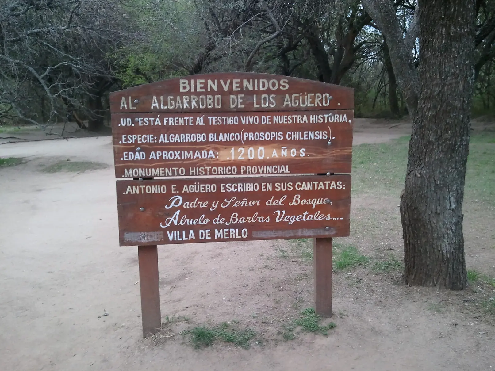 viaje