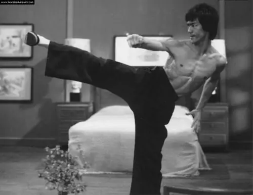 campeon de artes marciales