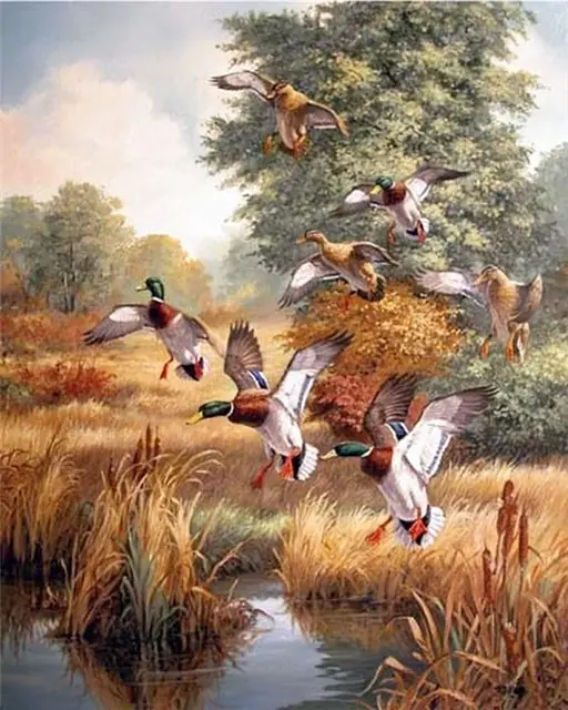 linda picken