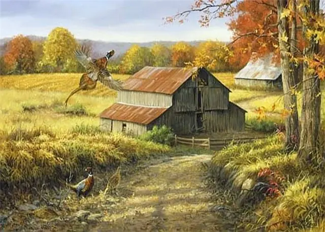 linda picken