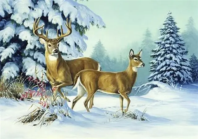silvestre